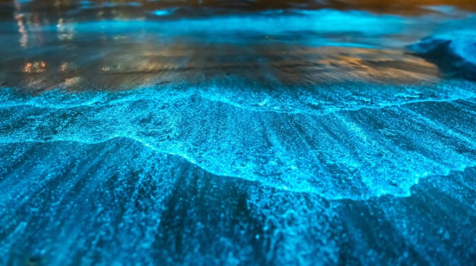 Maldives Vaadhoo Island at night